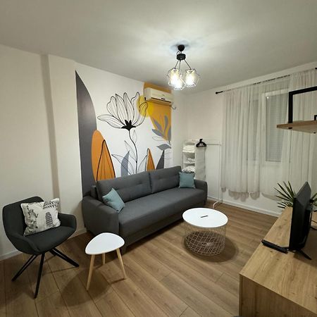 Eleven Apartment Podgoriţa Exterior foto